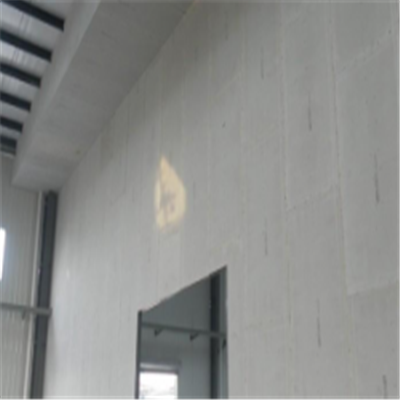 雅江新型建筑材料掺多种工业废渣的ALC|ACC|FPS模块板材轻质隔墙板